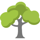 Poughkeepsie Tree Removal Service