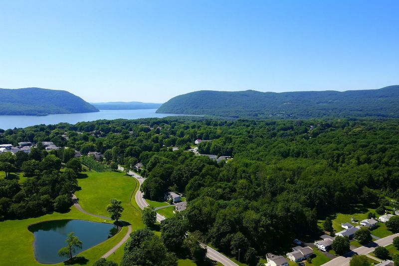 Tree Removal Service in New Windsor, NY
