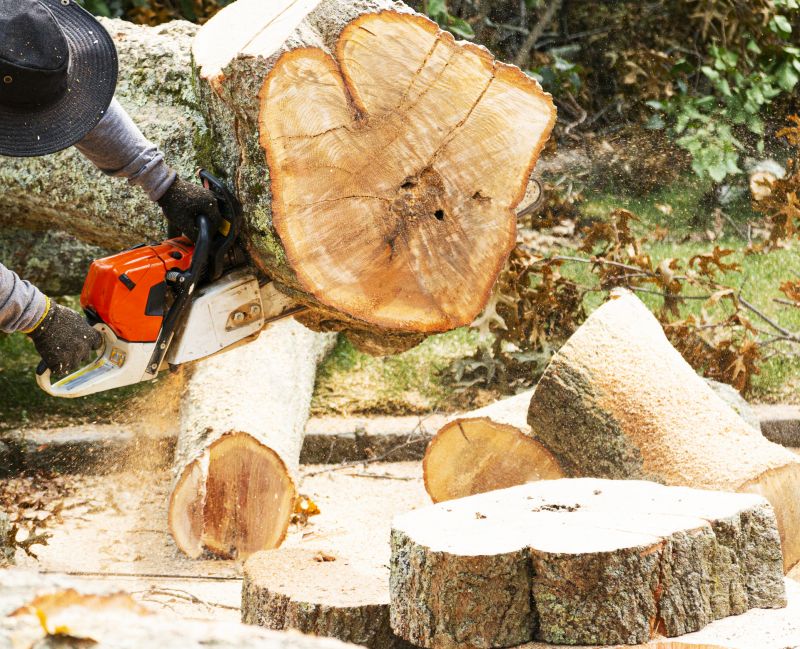 Who provides tree removal services in Poughkeepsie NY