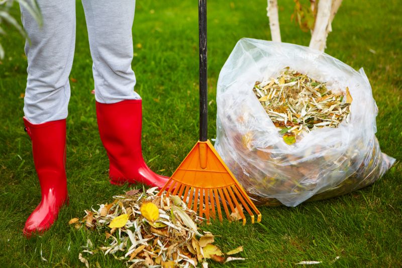 Efficient Leaf Disposal