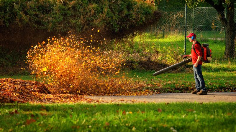 Leaf Blowing for Efficient Cleanup