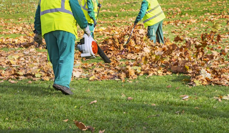 Bulk Leaf Collection