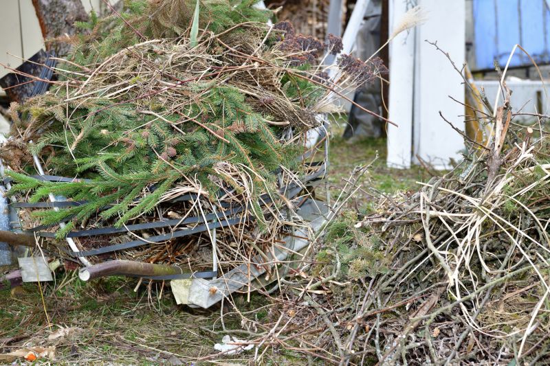 Yard Cleanup and Leaf Disposal