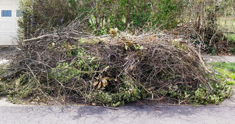Yard Cleanup After Tree Removal
