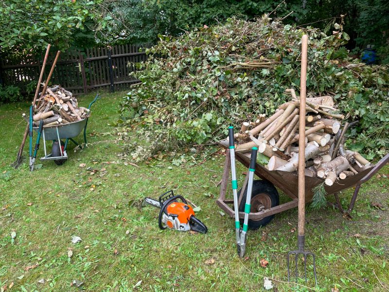 Disposal of Tree Debris