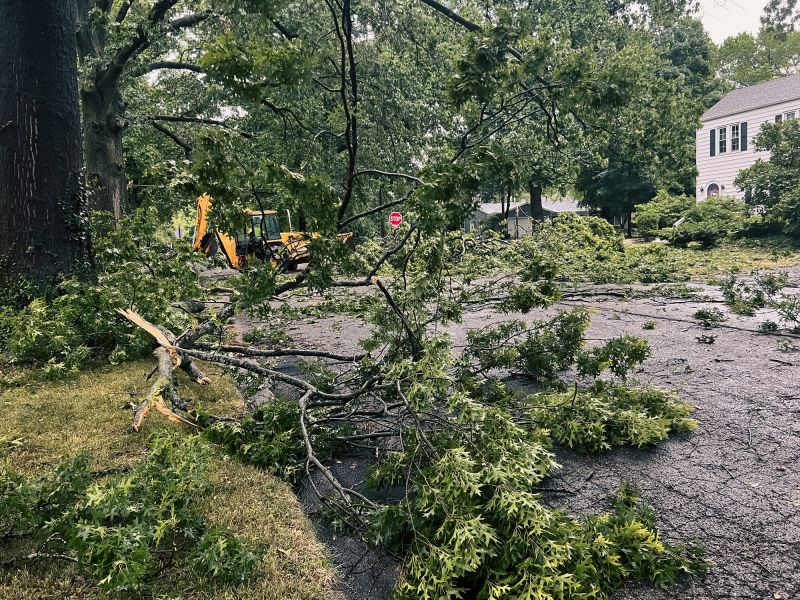 Site Cleanup