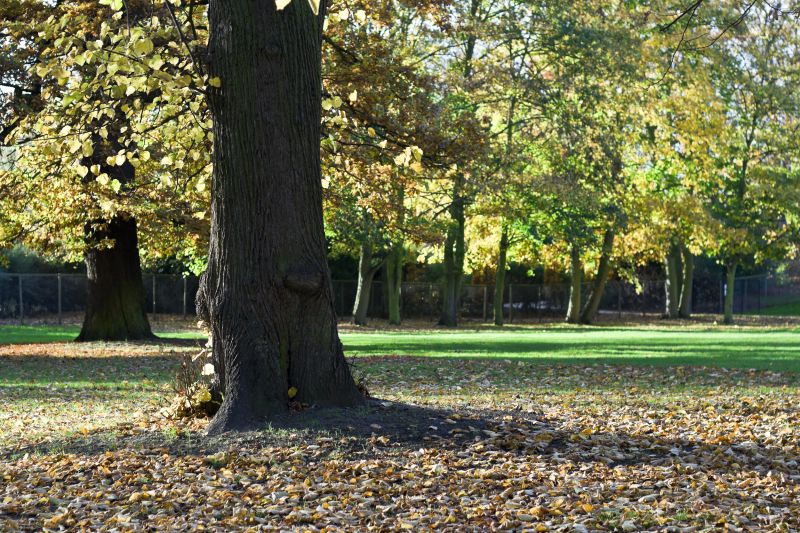 Seasonal Impact