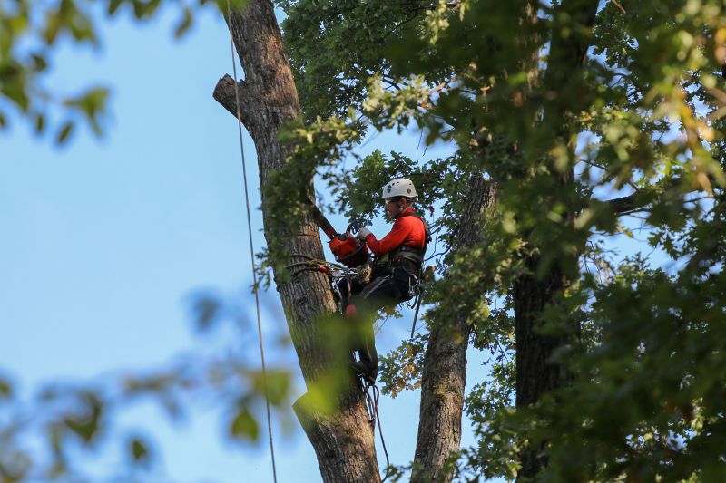 Safety Measures During Removal